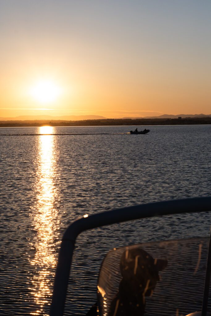 excursion en mer a sete