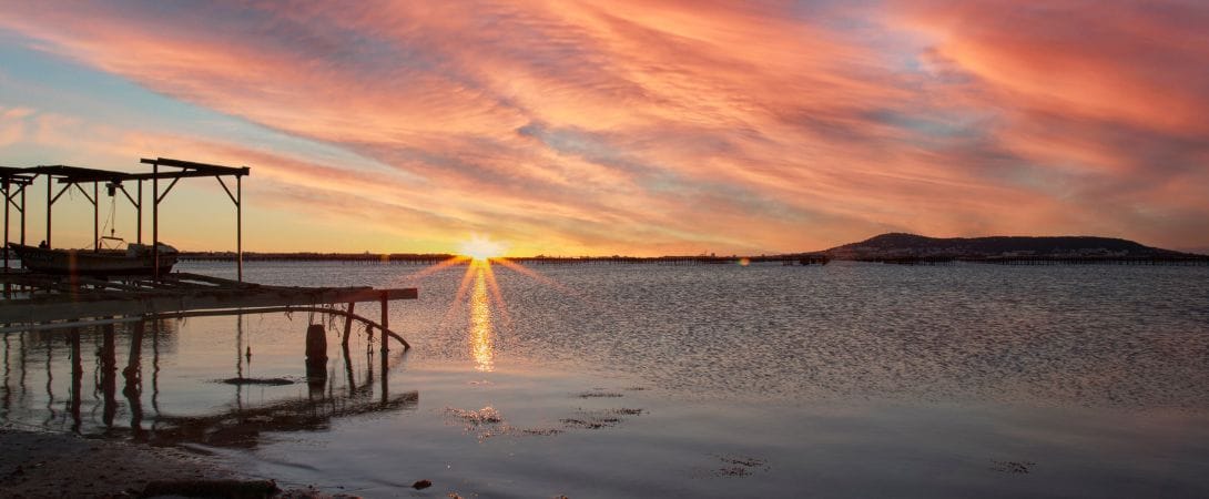 balade bateau etang de thau