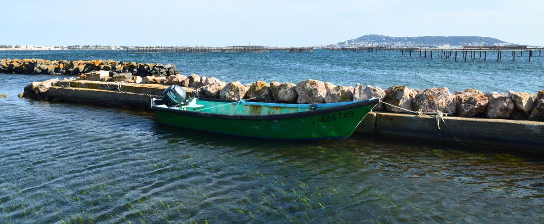 visite du parc a huitres bouzigues