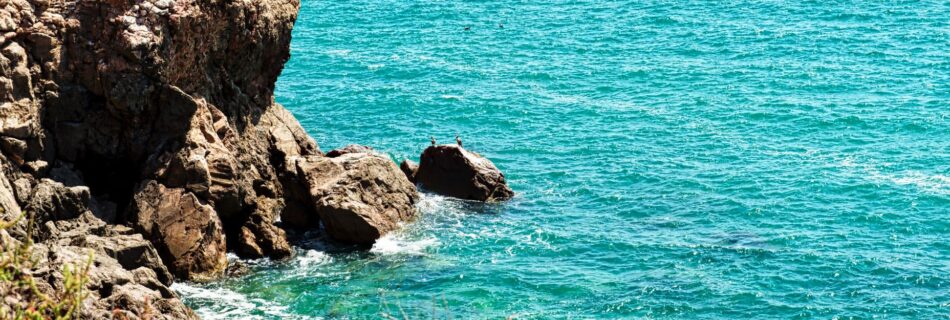 promenade bateau sete
