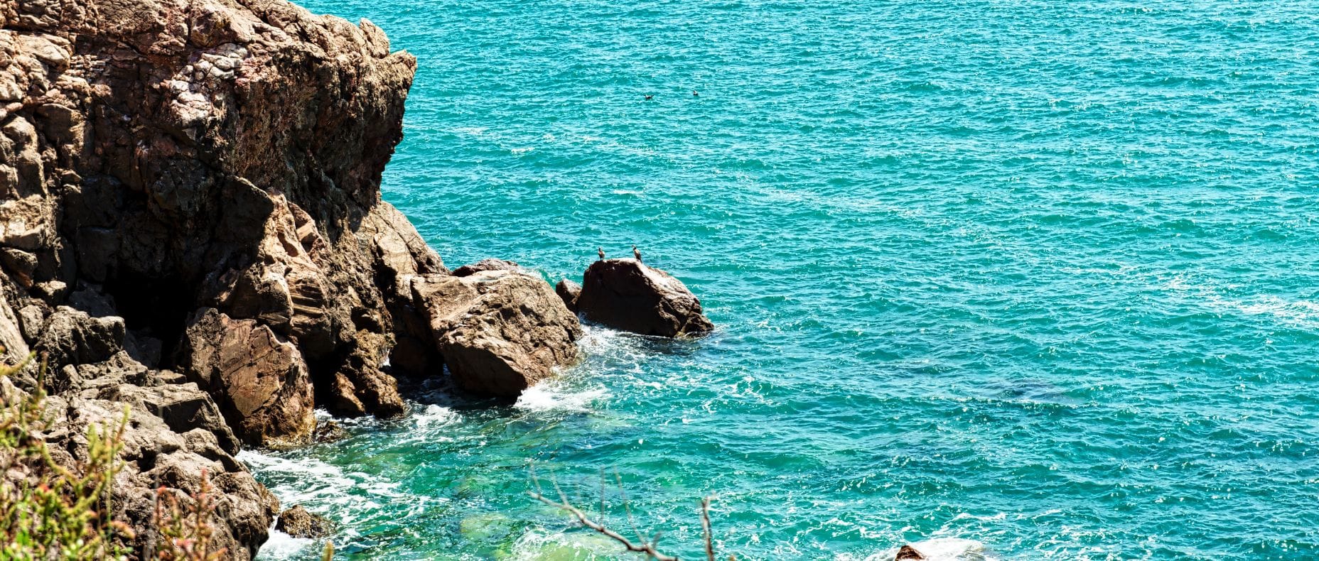 promenade bateau sete