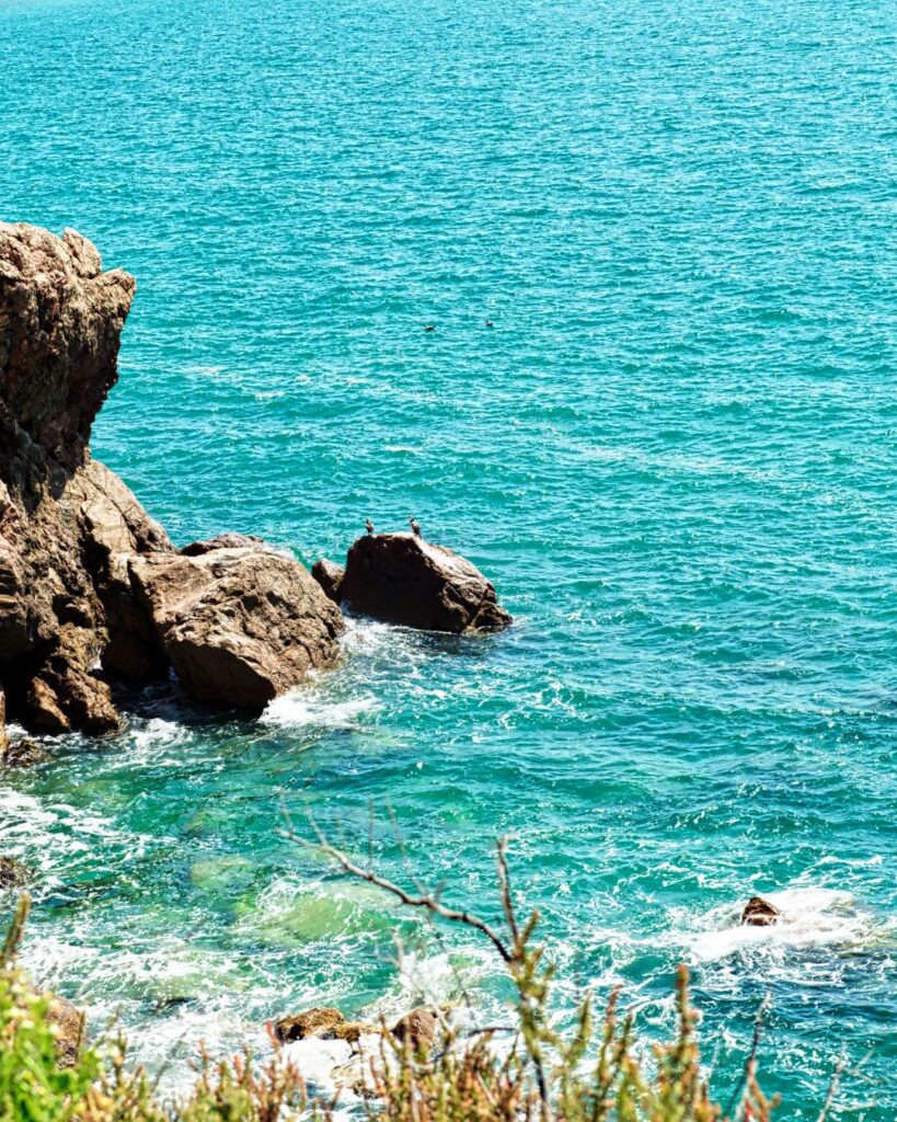 tour bateau sete