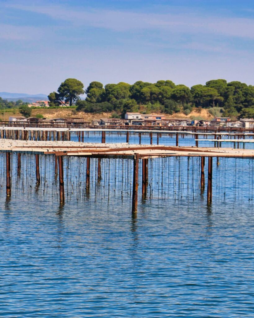 visite en bateau a sete