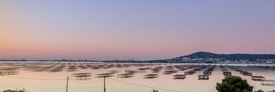 seminaire etang de thau evasion thau