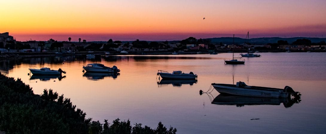 visite etang thau bateau