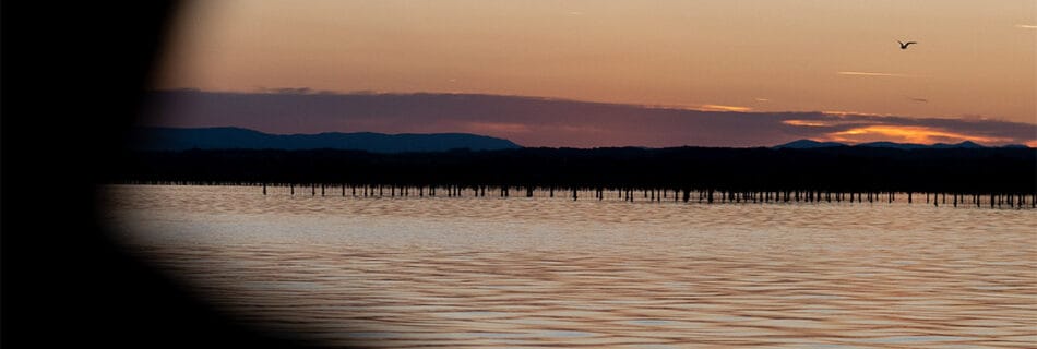 balade en bateau sete
