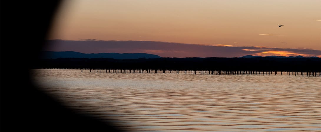 balade en bateau sete