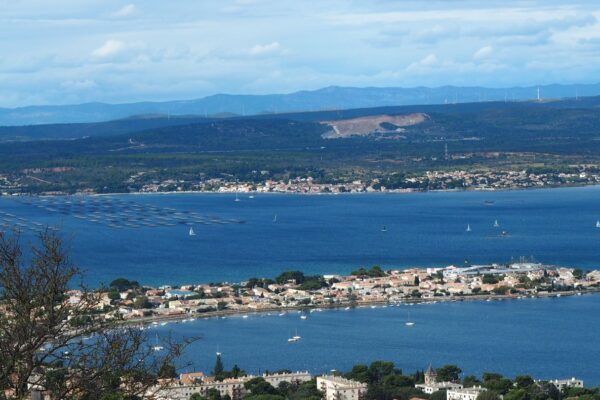 evenement entreprise original a sete rentree 2026