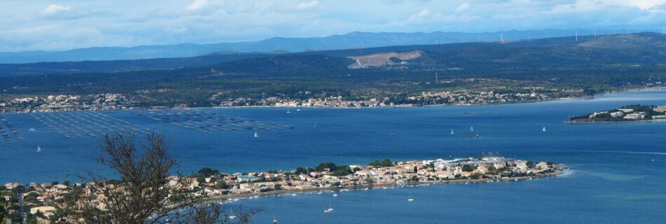 evenement entreprise original a sete rentree 2026
