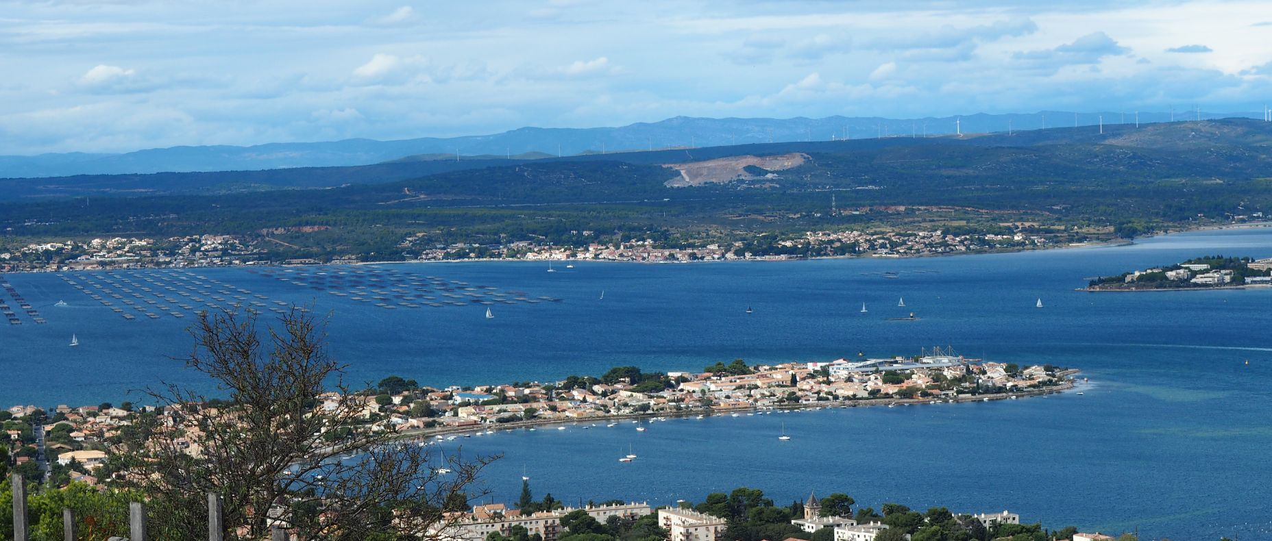 evenement entreprise original a sete rentree 2026